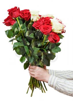 two hands giving bouquet of various roses isolated on white background