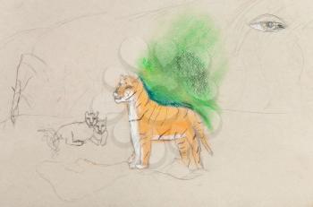 children unfinished drawing - tigress with cubs by color pencil