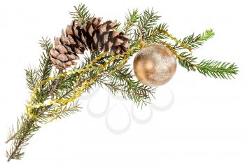 detail of christmas frame - branch of spruce tree with cone and gold ball on white background
