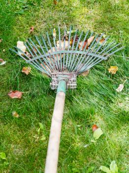 lawn care with the help of rake