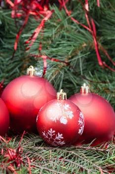 vertical Christmas still life - four red Christmas balls on Xmas tree background