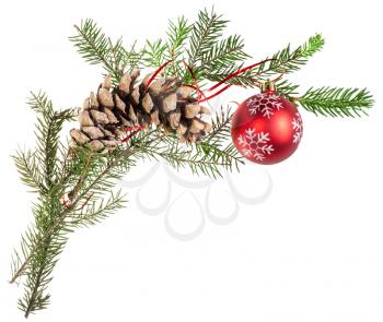 detail of christmas frame - branch of spruce tree with cone and red ball on white background