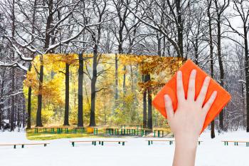season concept - hand deletes winter urban park by orange cloth from image and yellow autumn woods are appearing