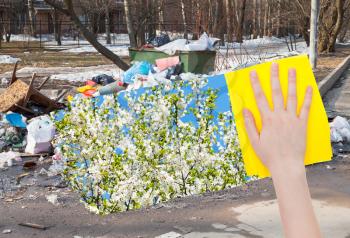 ecology concept - hand deletes urban trash by yellow cloth from image and spring cherry white blossoms are appearing