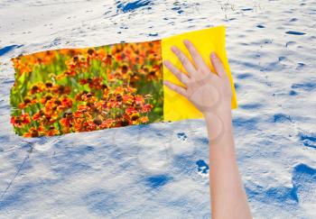 season concept - hand deletes snowy wild area by yellow cloth from image and meadow with red flowers are appearing