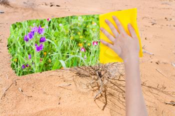 season concept - hand deletes sand in desert by yellow cloth from image and summer meadow is appearing