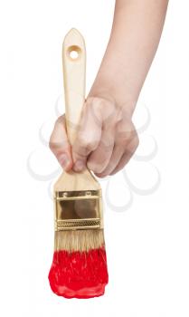 direct view of painter hand with flat paintbrush painting in red paint isolated on white background
