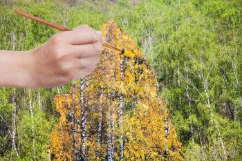 nature concept - seasons and weather changing: hand with paintbrush paints yellow autumn birch in green summer grove