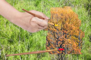 nature concept - seasons and weather changing: hand with paintbrush paints yellow autumn oak in green summer woods