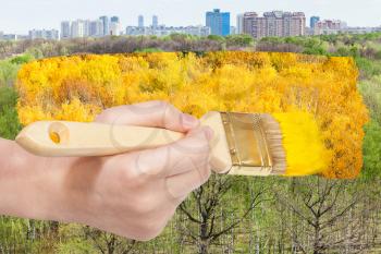 nature concept - seasons and weather changing: hand with paintbrush paints yellow autumn foliage on green summer trees