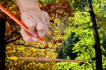 nature concept - seasons and weather changing: hand with pencil draws autumn leaves in green summer forest