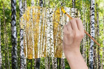 nature concept - seasons and weather changing: hand with paintbrush paints yellow autumn birch grove in green summer birch forest