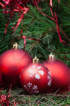 vertical Christmas still life - three red Christmas balls on Xmas tree background