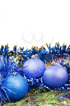 blue and violet Christmas baubles on green spruce tree branch isolated on white background