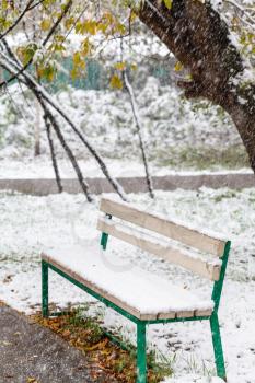 snowfall and first snow on bench in city park in autumn day