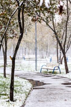 first snow in city park in autumn day