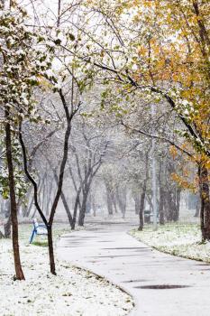 first snowfall in urban park in autumn day