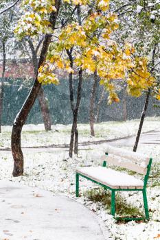 empty bench in urban park under first snowfall in autumn