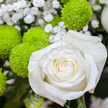 fresh white rose bloom in bouquet close up