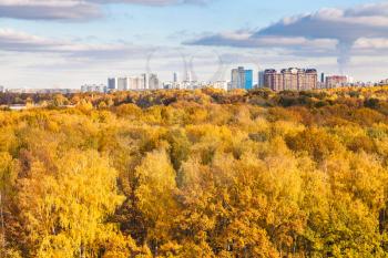 modern city and yellow woods in sunny autumn day