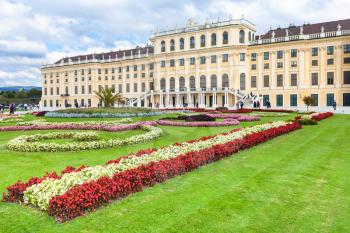 travel to Vienna city - flowerbed in garden of Schloss Schonbrunn palace, Vienna, Austria