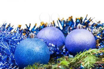 blue and violet Christmas balls on green fir tree branch isolated on white background