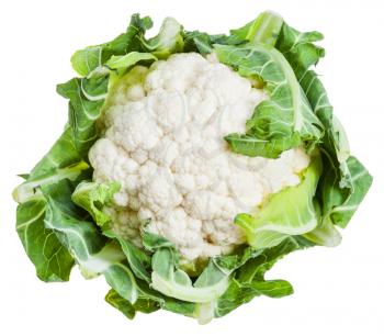 fresh ripe cauliflower isolated on white background