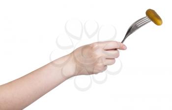 hand holding dinning fork with impaled salted cucumber isolated on white background