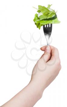 dinning fork with impaled fresh green salad in hand isolated on white background