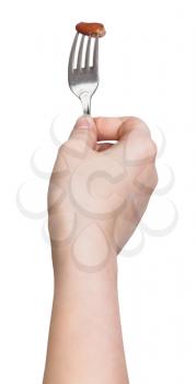 hand holds dinning fork with impaled one brown bob isolated on white background