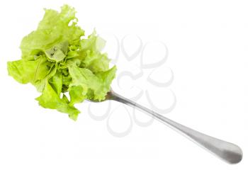 dinning fork with fresh green lettuce isolated on white background