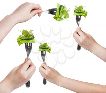 set of dinning forks with impaled fresh green salad isolated on white background