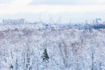 city houses and frozen park in winter season