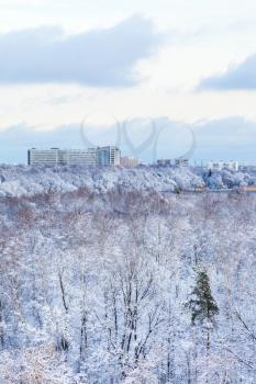 city houses and frozen woods in winter season