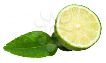 cut fresh green kaffir lime fruit with leaf isolated on white background