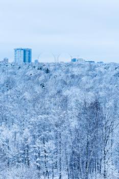 apartment house and snow forest in blue cold winter morning