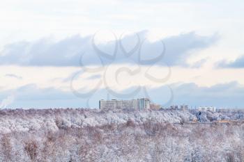 blue clouds over urban park and houses in winter season