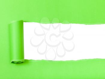 green rolled-up torn paper on white isolated background