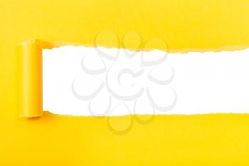 yellow rolled-up torn paper on white isolated background