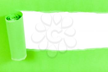above view of green rolled-up torn paper on white isolated background