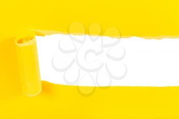 above view of yellow rolled-up torn paper on white isolated background