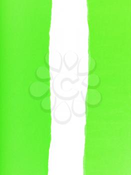 separated halves of the sheet of green ripped paper on white background