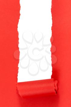 red rolled-up ripped paper on white isolated vertical background