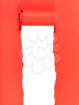 red rolled-up torn paper on white isolated vertical background