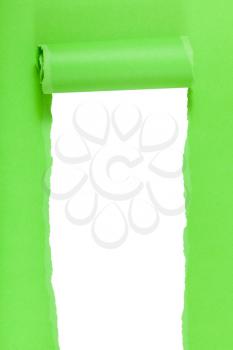 green rolled-up ripped paper on isolated white vertical background