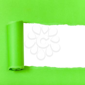 green rolled-up torn paper on white isolated square background