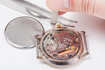 Repairing of watch - watchmaker replaces battery in quartz wristwatch close up
