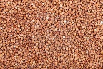 food background - many raw buckwheat seeds