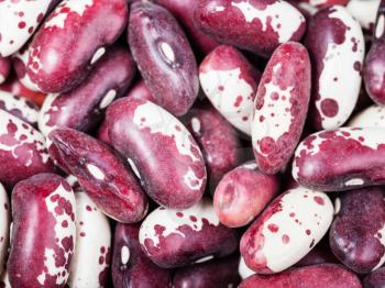 food background - raw red mottled beans close up