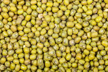 food background - raw green mung beans